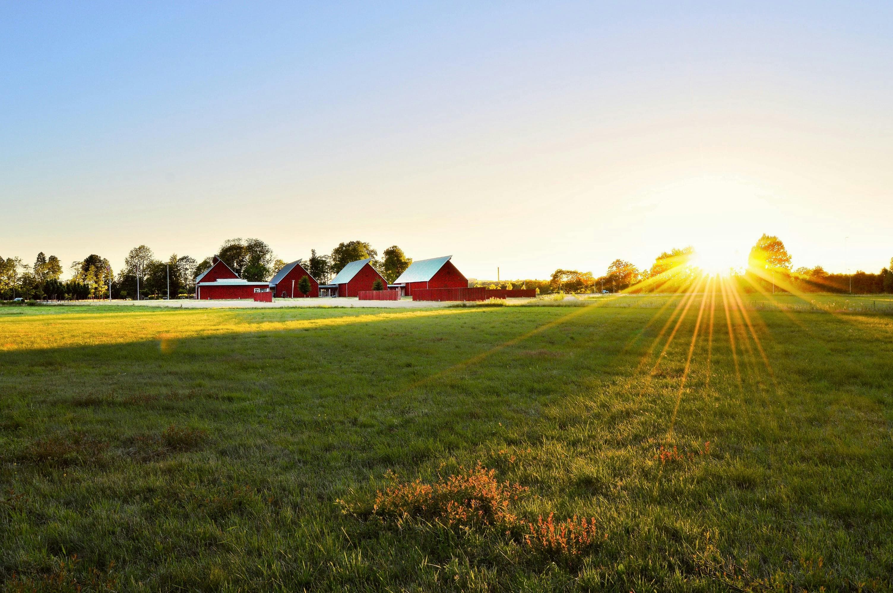 Beautiful rural property eligible for USDA financing